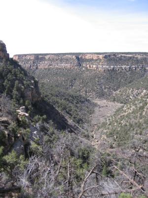 Lookout at Mesa Verde