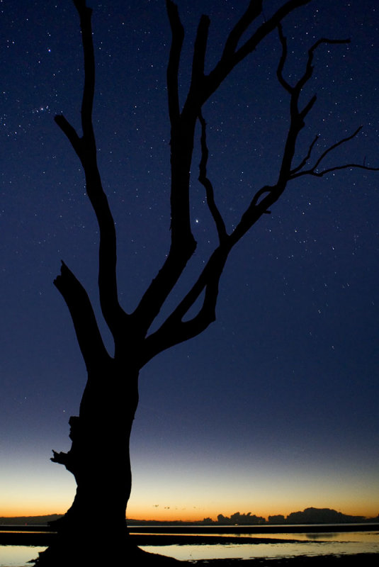 all the stars in the southern sky