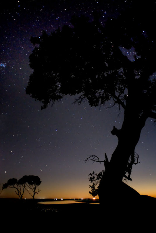 Stary night