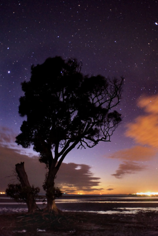 night sky