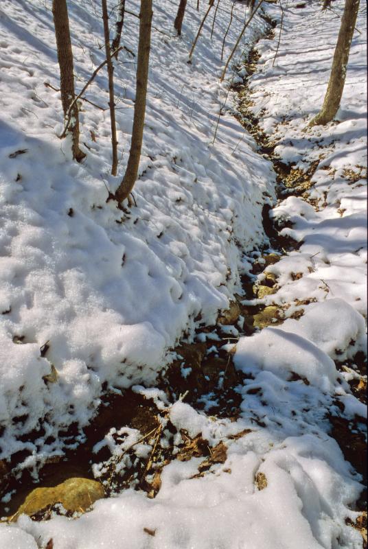 Snowscape
