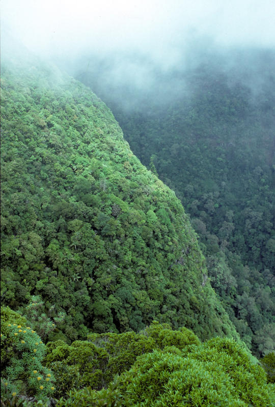 Fog on the escarpment