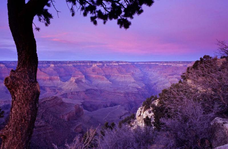 Canyon in alpenglow