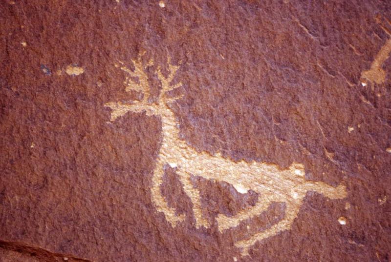 Anasazi petroglyphs