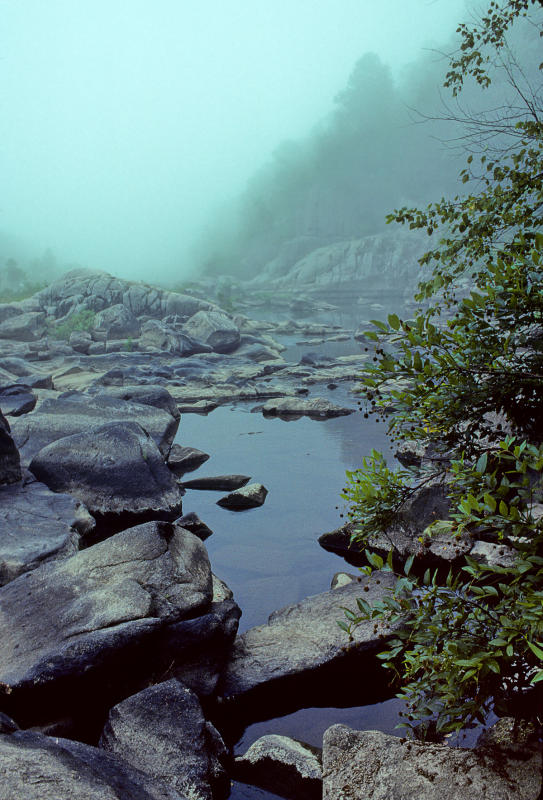 Foggy Dawn on the St. Francois River