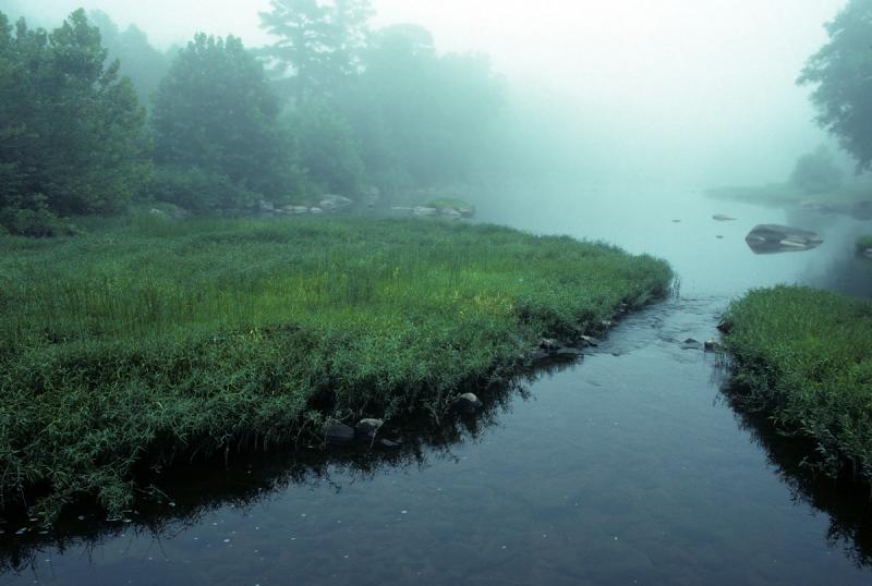 Misty Stream