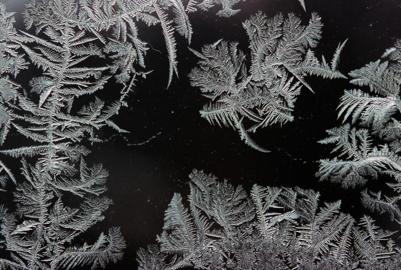 Ice crystals on a window