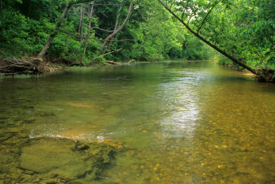 Courtois Creek