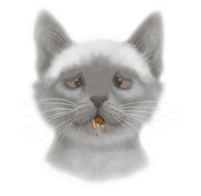 CatAndMouseA.gif