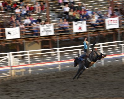 Rodeo Cody