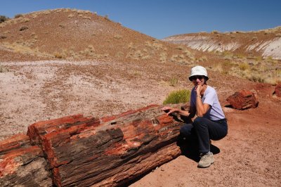 Pretrified forest, wood is rock now, Arizona.