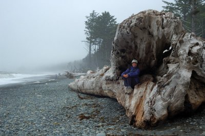 Plage Rialto, La push, Wachington