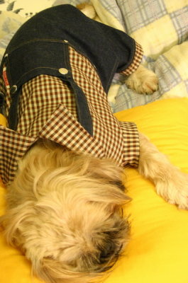 IMG_3579_resize.JPG