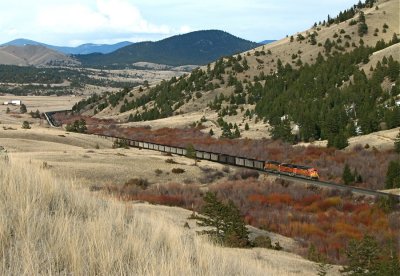 Headend, two helper sets and 147 coal cars... BIG TRAIN! 04/08/08