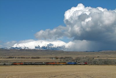 Eastbound coal empties approaching Big Timber, MT with the snowy Crazy Mountains in the distance. 04/10/08