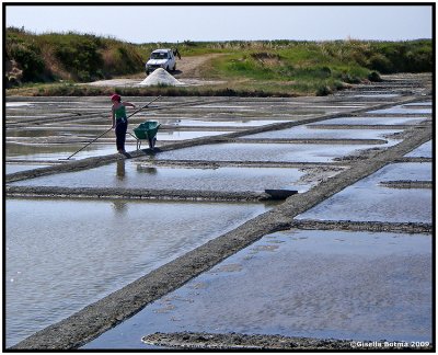 Salt production fields