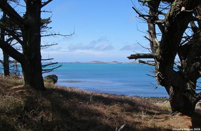 view over the sea