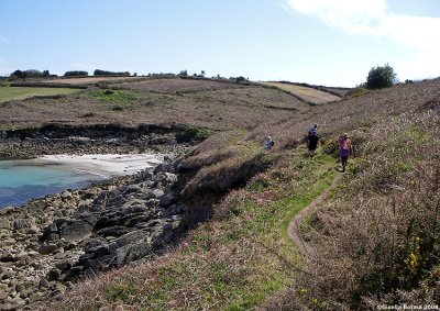 walking the cliffpaths