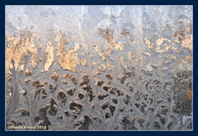iceflowers 2