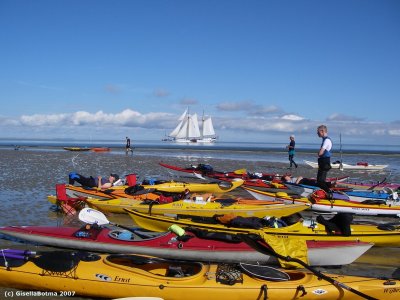 our fleet