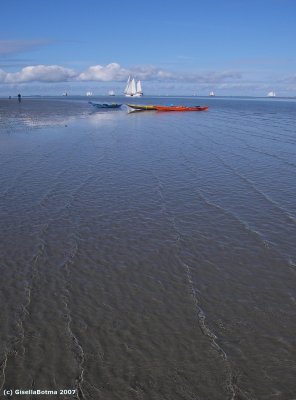 waddenzee