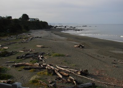 Brookings OR 01.JPG