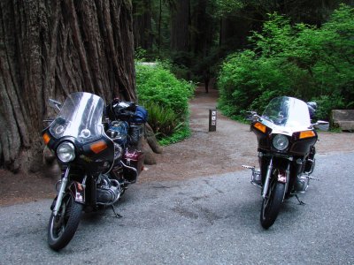 Redwood Hwy 02.JPG