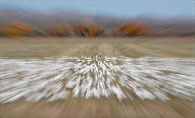 zoom blur