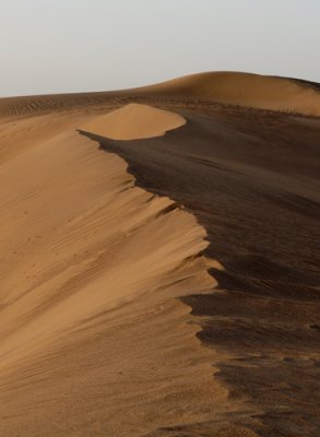 Sahara