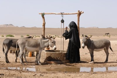 Bedouin at Well