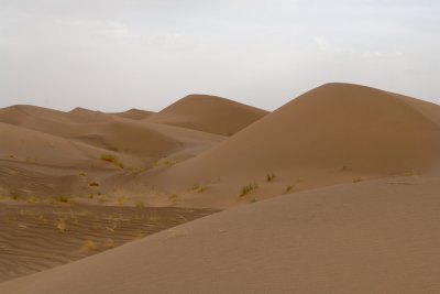 Sahara