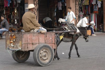 Marrakesh