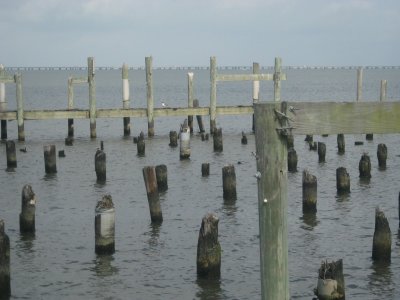 Pilings, West End restaurant area, NOLA, May 2009