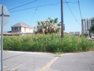 Abandoned lots and houses lakeview 572010.jpg