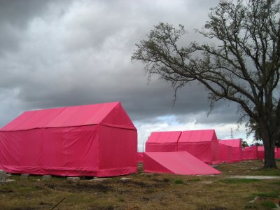 The Pink Project, lower 9th, New Orleans, Jan. 2008