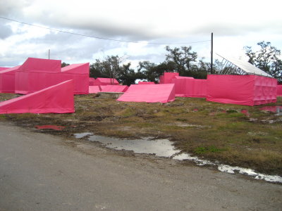The Pink Project, lower 9th ward, New Orleans, Jan. 2008
