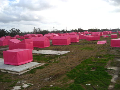 row of pink houses