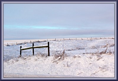 Vanderhoof Countryside in Winter II