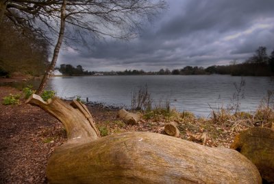 Lake view 2