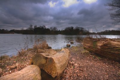 Lake view