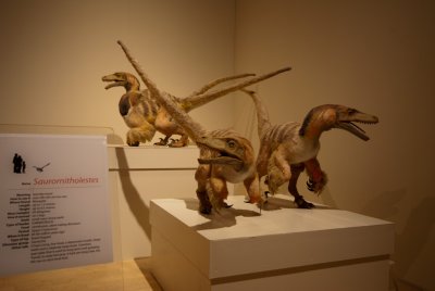 Sauromitholestes.jpg