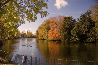Minster pool 2.jpg