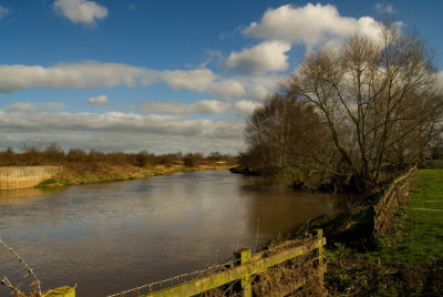 Trent from under High Bridge