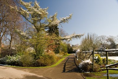 Beacon park III.jpg