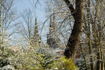 spires though trees.jpg