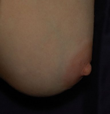 nip6.jpg