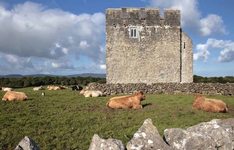 Ruins of the Kilmacduagh monastery