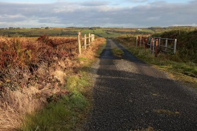 Quiet road