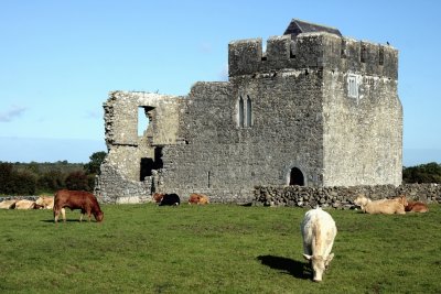 Ruins of the Kilmacduagh monastery