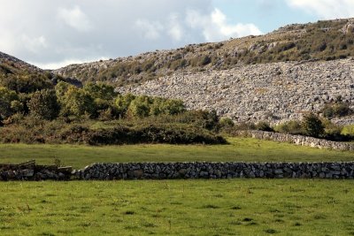 Grassland in The Burren